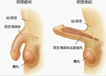 包括范围