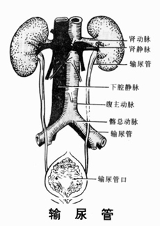 治疗方案