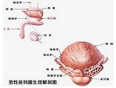 病因