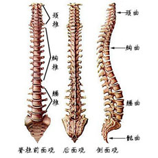 治疗原则