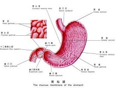 常见疾病