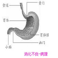 消化科常见临床表现