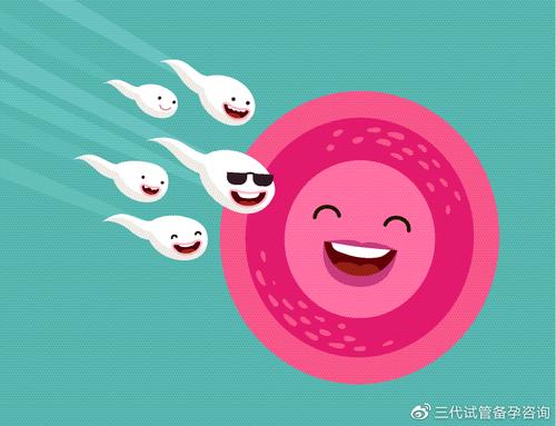 中山试管做多囊怀孕需要多少钱