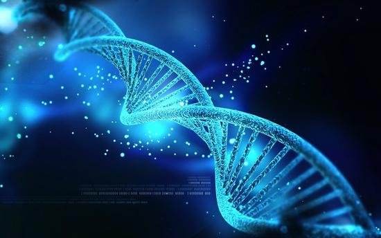 要是闭经了还能通过试管婴儿成功怀孕吗?