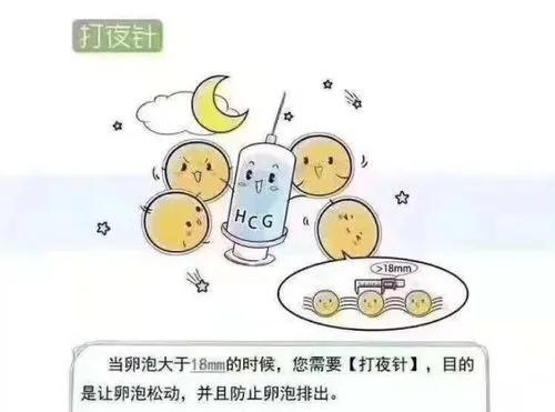 宜昌试管婴儿需要多少钱？成功率高吗？