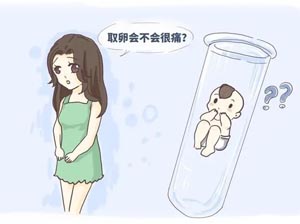 萍乡试管助孕机构哪里比较靠谱？成功率高