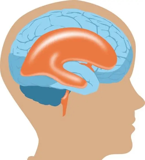 湖南哪个医院癜痫病看得好 湖南哪个医院治疗癜痫病能好