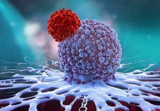 間充質干細胞具有組織修復和抗炎作用