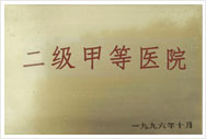 二級(jí)甲等醫(yī)院