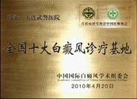 國內十大白癜風治療基地
