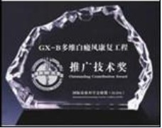 推廣技術獎