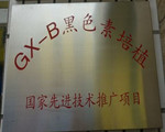 GX-B黑色素培植