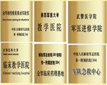 醫(yī)院榮譽
