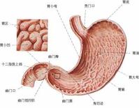 胃病炎癥