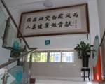 文化通道