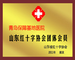 山東紅十字協(xié)會團體會員