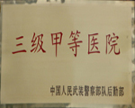 三級甲等醫院